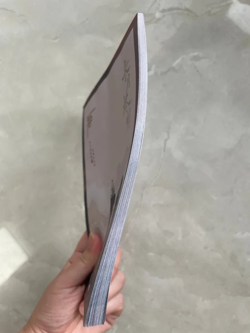 Luo Yunxi Cute Sticky Notes Ti - Tan Stationery & Office Supply recensione e prezzo