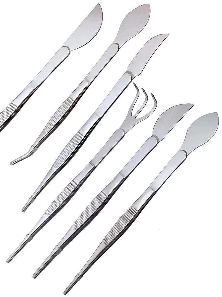 1pc 2-in-1  304 Stainless Stee - Scissors Stainless Craft recensione e prezzo