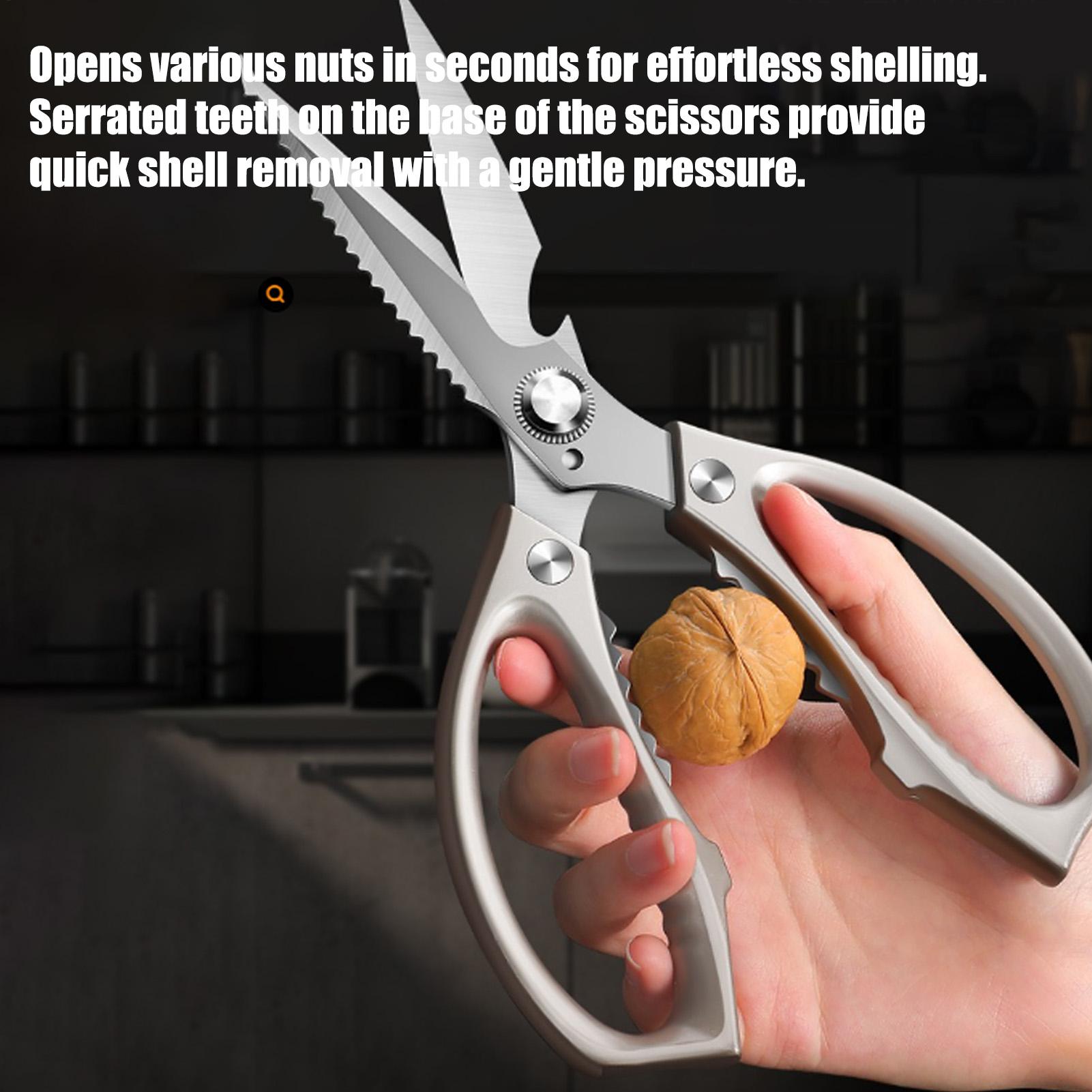 Food Scissors Stainless Steel  - Scissors Stainless Craft recensione e prezzo